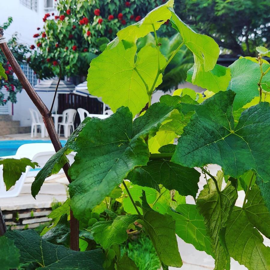 Hotel Aquarela 2*